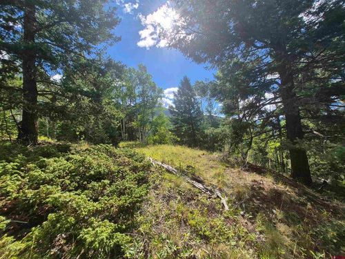 Blk 89 Lots 4-6, Jasper, CO, 81144 | Card Image