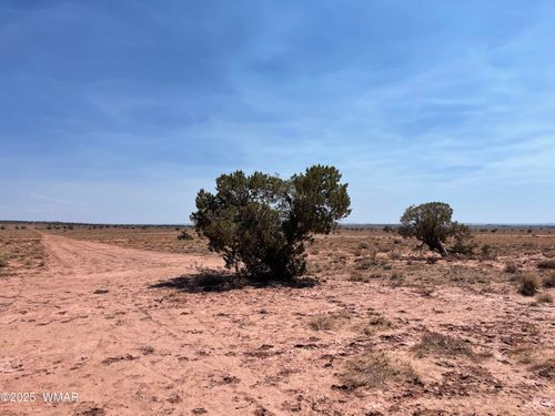 8191 E Concho Highway Parcel E, Snowflake, AZ, 85937 | Card Image