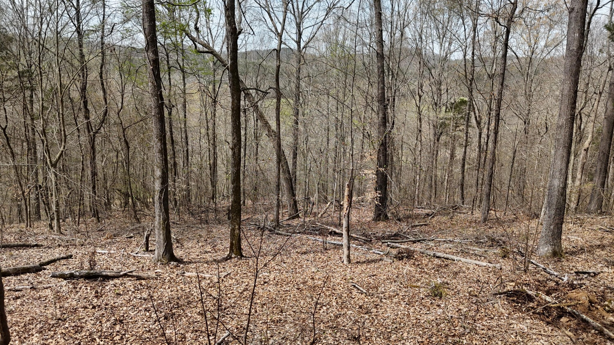 Land in Decatur
