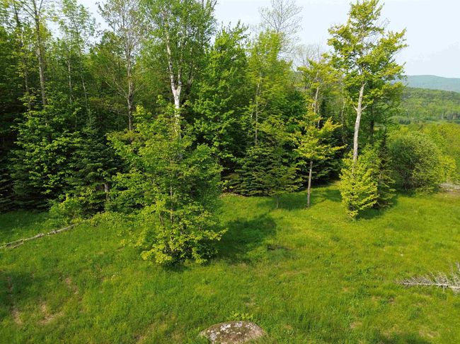 S. Side trees available for cutting to open views | Image 11