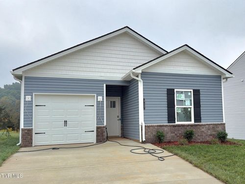 317 Chimney View Loop, Blountville, TN, 37617 | Card Image