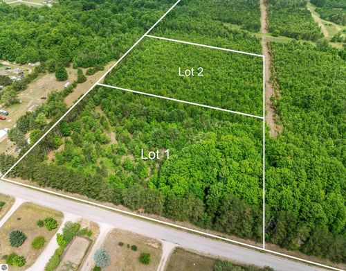 Parcel 1 Maple Dr, Benzonia, MI, 49616 | Card Image