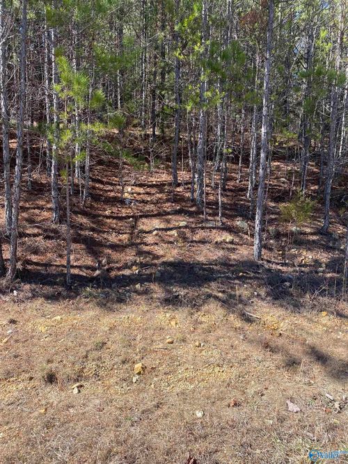 Lot 2 Blk 2 Alyson Ave Nw, Fort Payne, AL, 35968 | Card Image