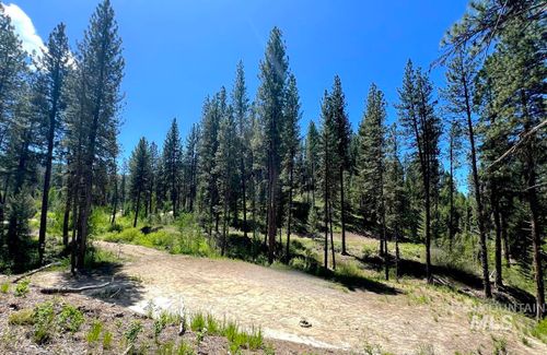 L16 B1 Shaw Gulch Road, Idaho City, ID, 83631 | Card Image