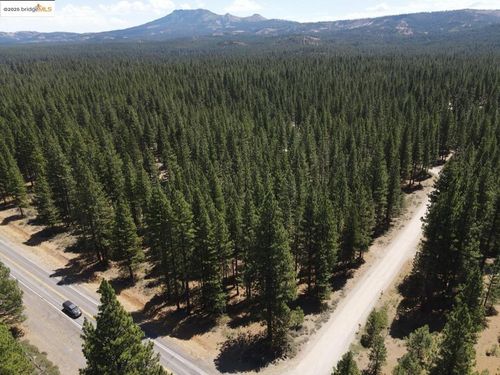 45 Claireville Rd, Portola, CA, 96122-9621 | Card Image