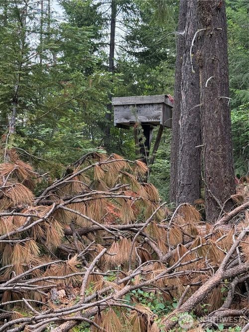 2-of-2-750 Tall Pines Dr, Cle Elum, WA, 98922 | Card Image
