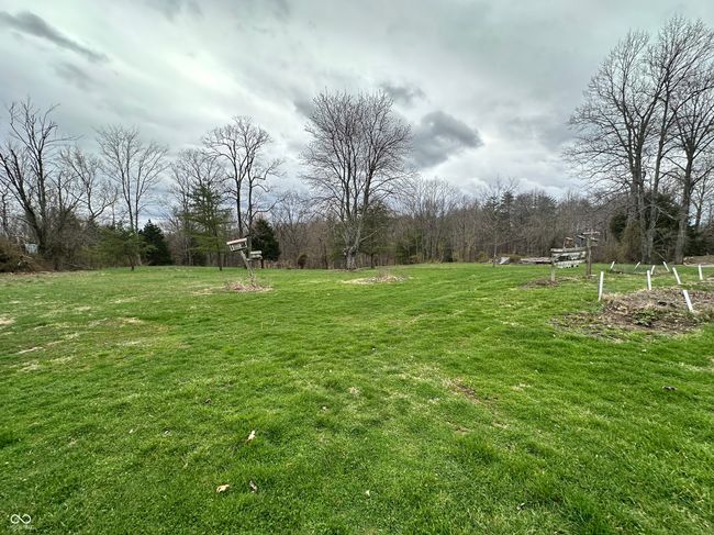 view of yard | Image 15