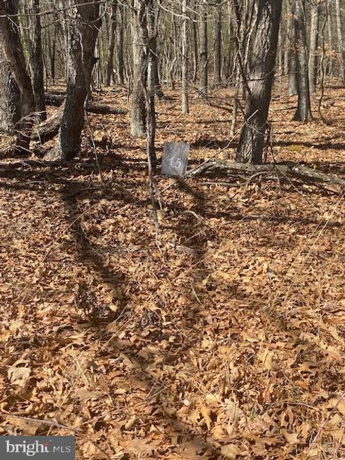 TBD Marigold Way, GERRARDSTOWN, WV, 25420 | Card Image