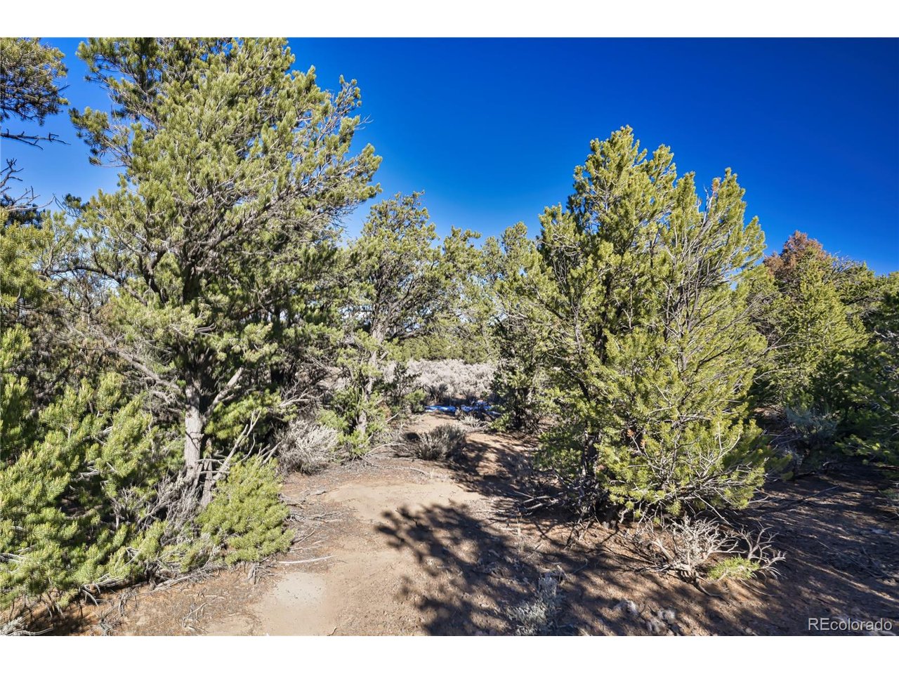 Land in Fort Garland 3