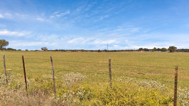 Grass | Image 13