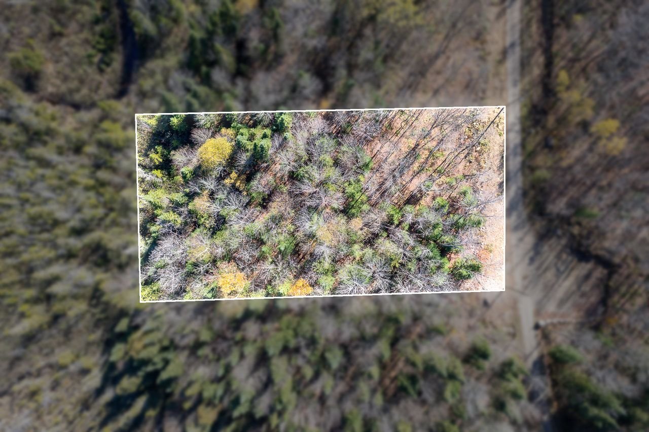 Land in Saint-Didace 3