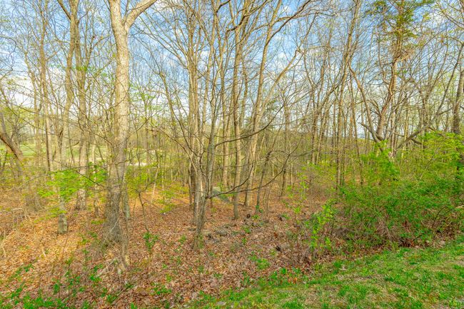 0 Old Rockey Trl, Home with 0 bedrooms, 0 bathrooms and null parking in Rising Fawn GA | Image 8