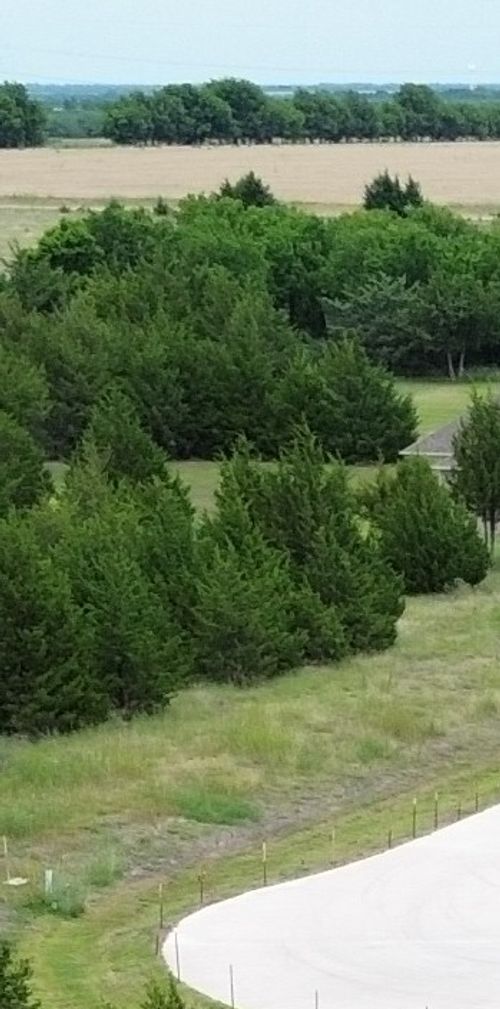 tbv Evergreen Way, Nevada, TX, 75173 | Card Image