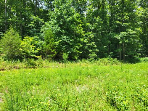 1 Mt Carmel Rd, Mosheim, TN, 37818 | Card Image