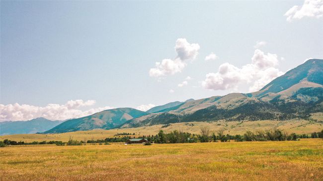 Image | Image 6