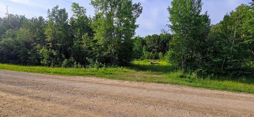 7755 Youngs Bay Dr Nw, Angle Inlet, MN, 56711 | Card Image