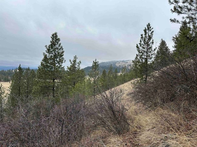 3312X Daisy Mine Rd, Home with 0 bedrooms, 0 bathrooms and null parking in Rice WA | Image 19
