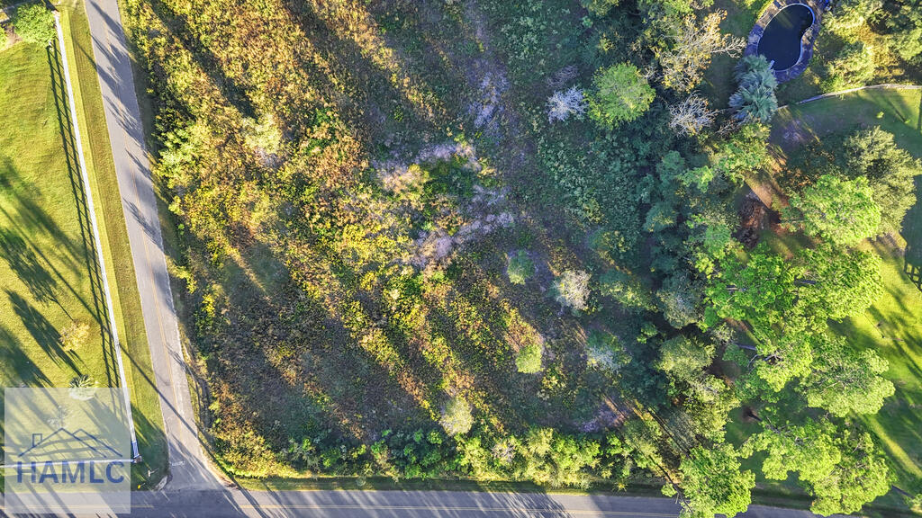 Land in Jesup 4