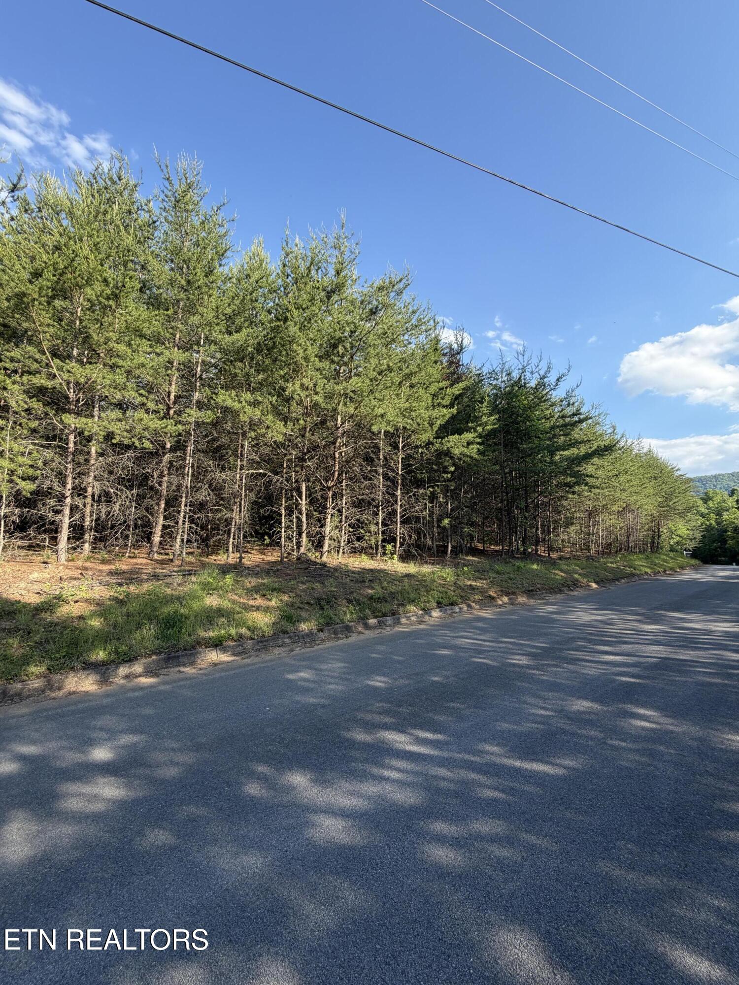 Land in Sevierville 3