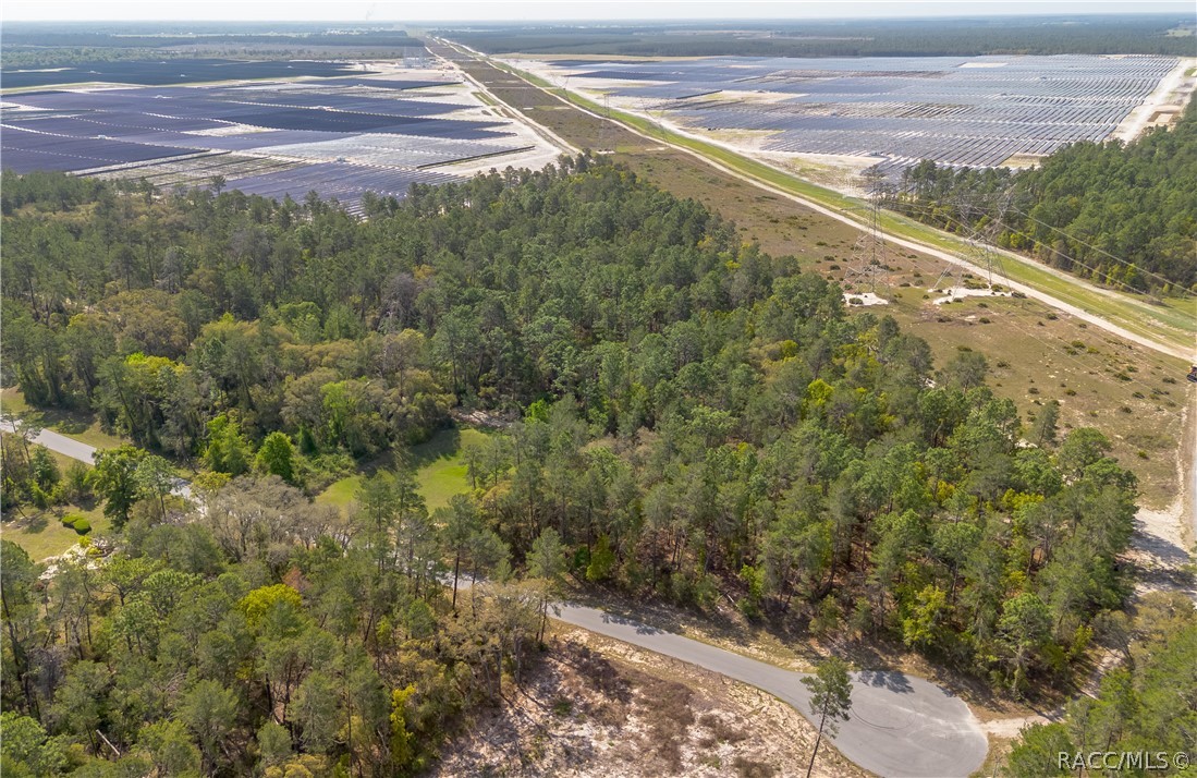 Land in Ocala 2