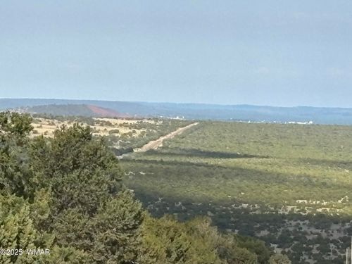 60 County Road 8140, Vernon, AZ, 85940 | Card Image
