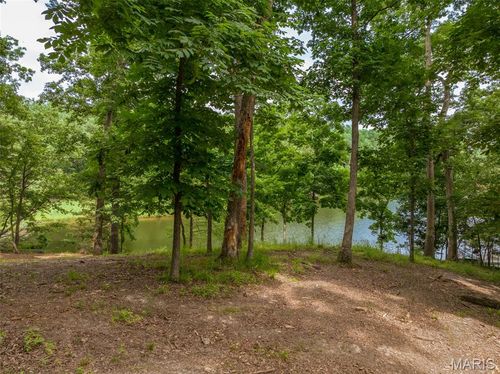 463 Foxfire Crossing Dr, Innsbrook, MO, 63390-6397 | Card Image
