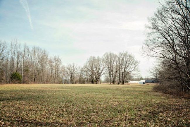 13300 Scottsville Rd, Home with 0 bedrooms, 0 bathrooms and null parking in Lucas KY | Image 9