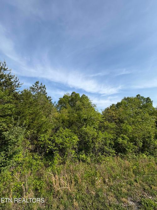 lot 60 Saddle Ridge Dr, Speedwell, TN, 37870 | Card Image