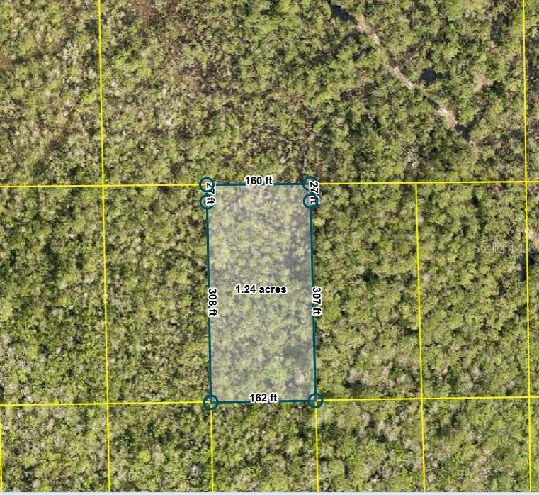 Land in DELAND