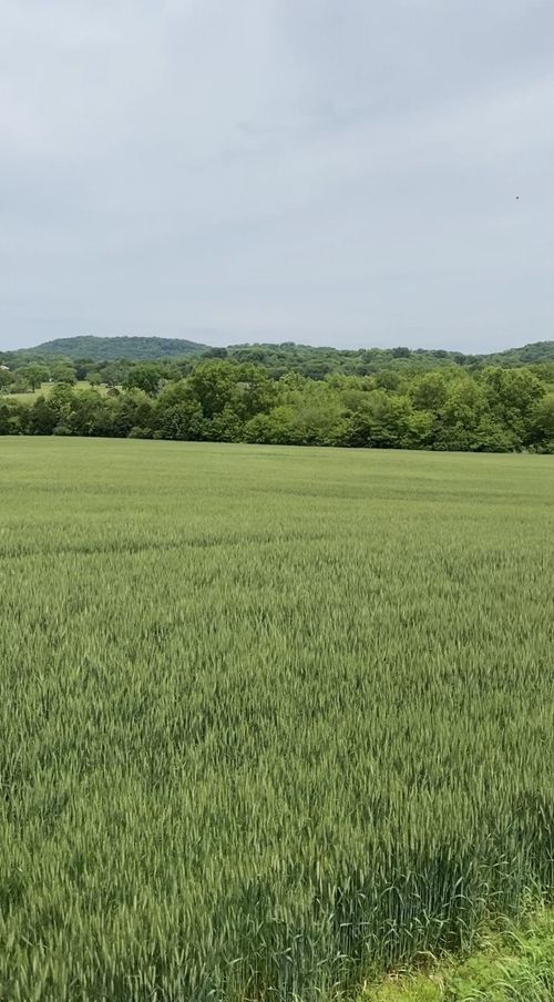 513 Suzanne Way, Bethpage, TN, 37022-3001 | Card Image