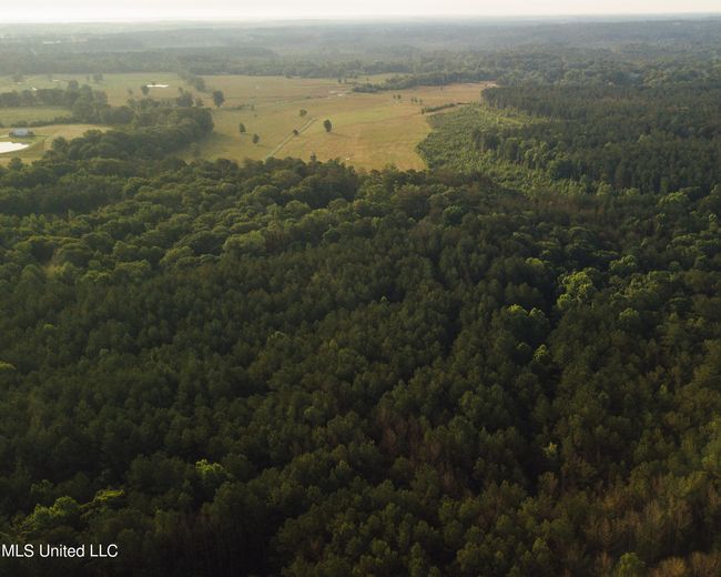 JG Puckett Cabin Drone-6 | Image 8