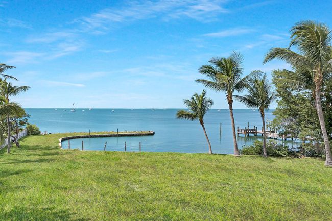 Mature Palms | Image 6