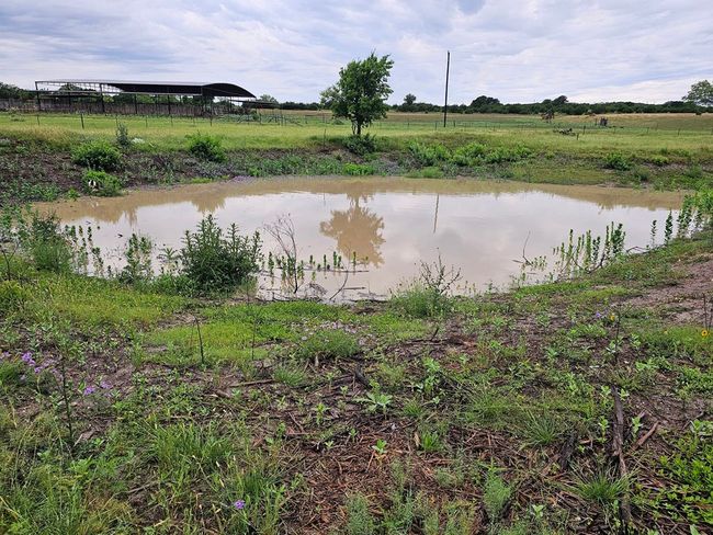 4770 S Ranch Road 1623, Home with 0 bedrooms, 0 bathrooms and null parking in Stonewall TX | Image 9
