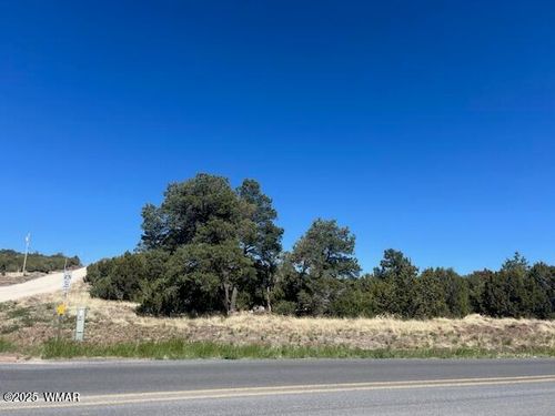 lot 7 N Stanford, Vernon, AZ, 85940 | Card Image