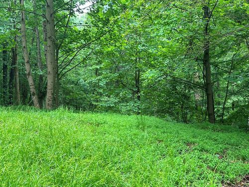 Lot 59 Timberwalk Dr, Ellijay, GA, 30540-3534 | Card Image