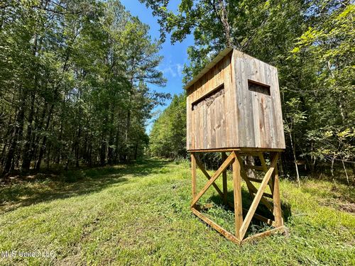 0 Forest Service Road 562, Pulaski, MS, 39152 | Card Image