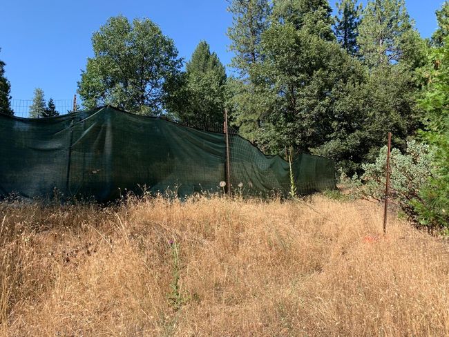 5727 Starkes Grade Rd, Home with 0 bedrooms, 0 bathrooms and null parking in Pollock Pines CA | Image 9