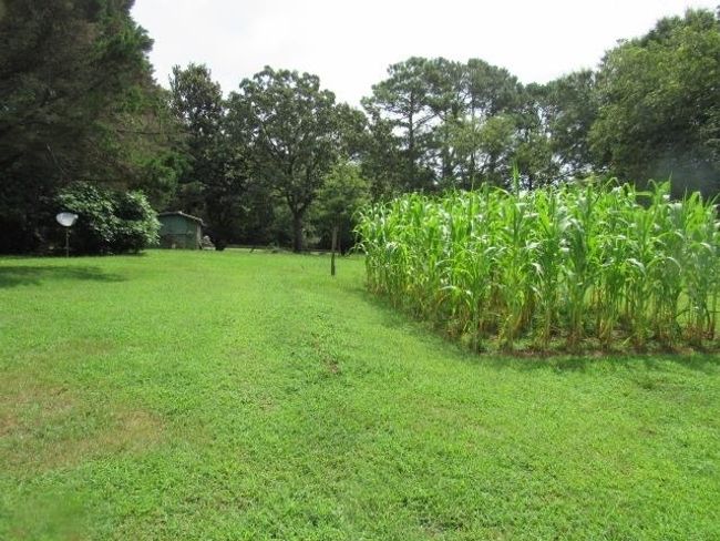 2652 N Fairview Rd, House other with 2 bedrooms, 1 bathrooms and 4 parking in LAVONIA GA | Image 10
