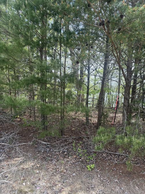 16612 N Star Cir, Bakewell, TN, 37373-7756 | Card Image