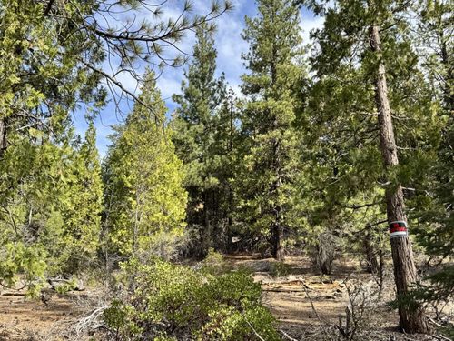 0 Whale Ln, Bonanza, OR, 97623 | Card Image