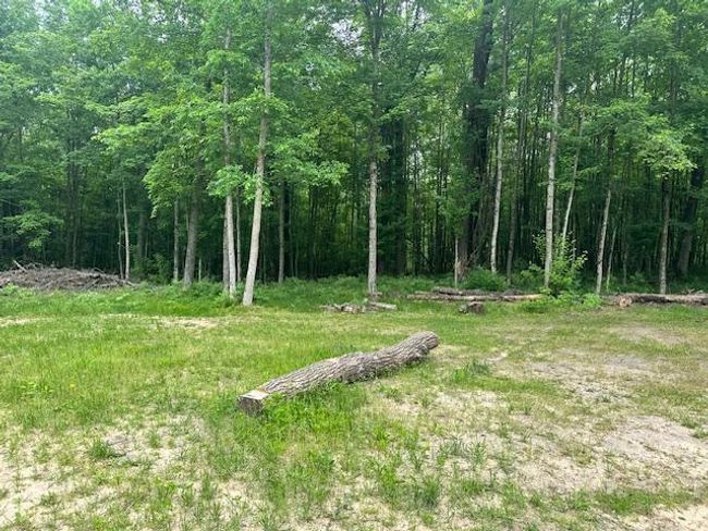 5892 E 68 Th St, Home with 0 bedrooms, 0 bathrooms and null parking in Chase MI | Image 14