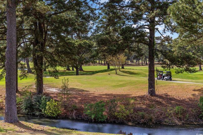 View of community with a lawn and view of wooded area | Image 26