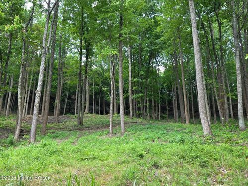 7 Cave Creek Rd, Falls Of Rough, KY, 40119-6413 | Card Image