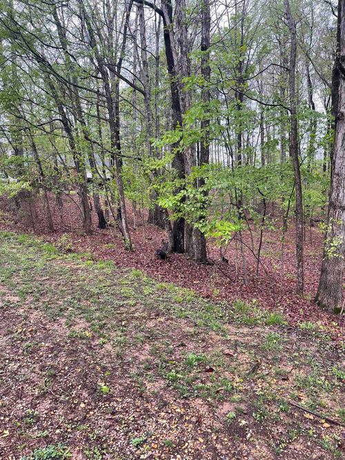 0 Sandpiper Lot 164 Rd, Counce, TN, 38326 | Card Image