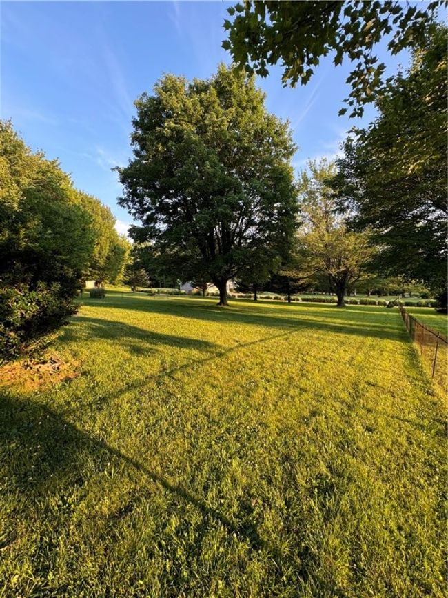 Enter into your back yard. This area is fenced in behind the home. | Image 4