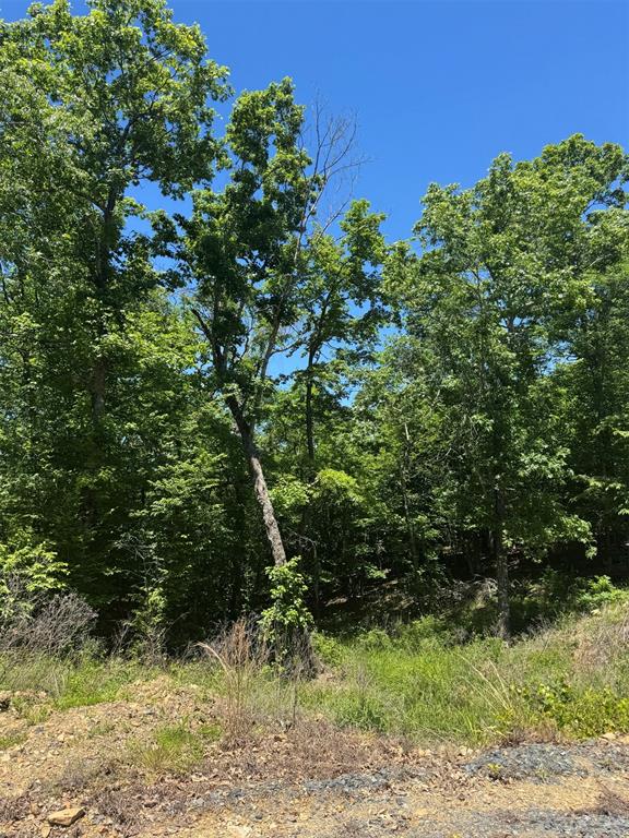 Land in Watson 4