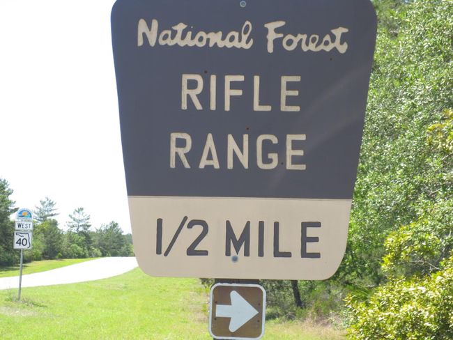 Ocala National Forest Activity | Image 86