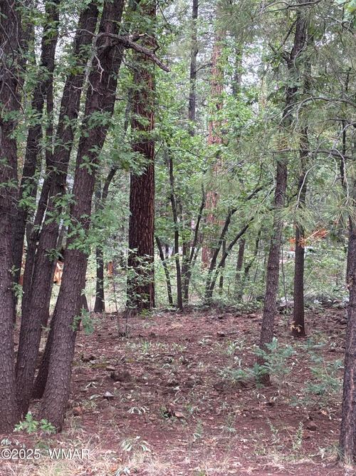 3887 E Bermuda Cir, Pinetop, AZ, 85935-8174 | Card Image
