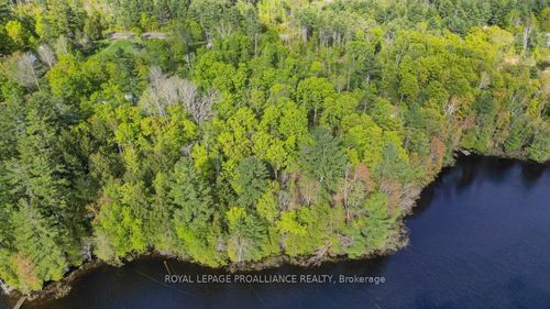 3776 B Buckshot Lake Rd, Addington Highlands, ON, K0H2M0 | Card Image