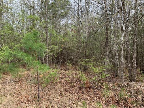 0 Sikes Orchard Rd, Jamestown, LA, 71045 | Card Image